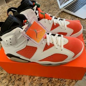 Jordan 6 Gatorade